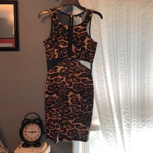 Leopard mini dress with sheer cutout detail